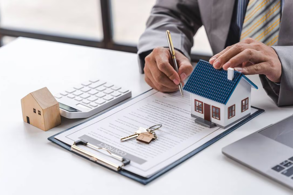 Untitled design - 2025-04-28T123803.492